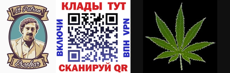 Купить наркотики цена Онега COCAIN  Мефедрон  ГАШ  Alpha PVP  Марихуана 
