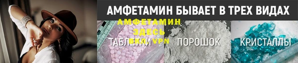 шишки Белоозёрский