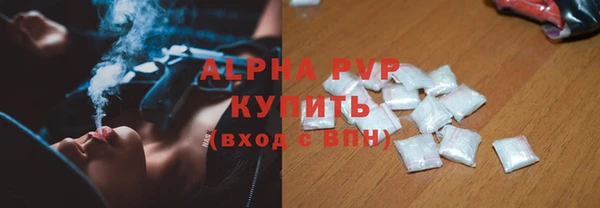 СК Белокуриха