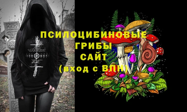 СК Белокуриха