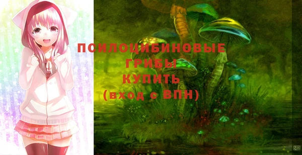 СК Белокуриха