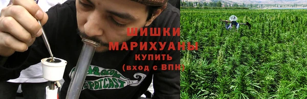 шишки Белоозёрский