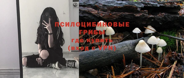 шишки Белоозёрский