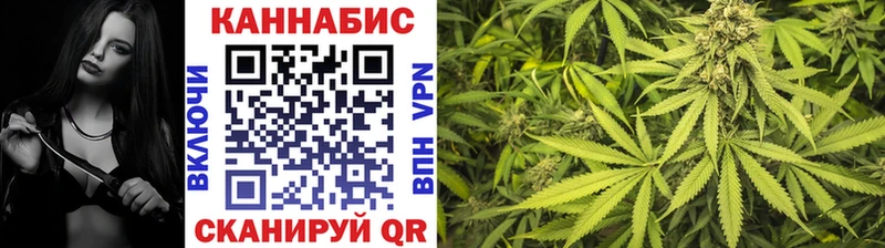 Каннабис Ganja  Онега 